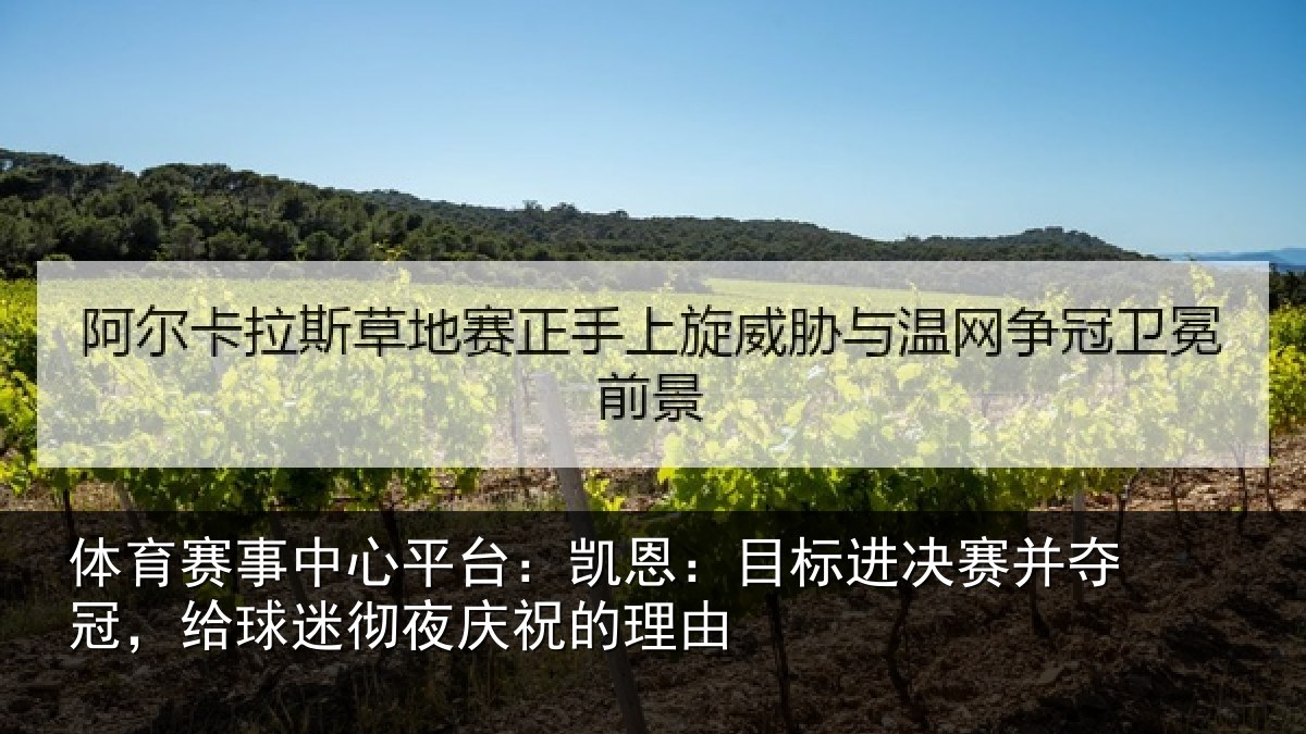 体育赛事中心平台：凯恩：目标进决赛并夺冠，给球迷彻夜庆祝的理由