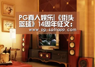 PG真人娱乐|《街头篮球》14周年征文:一路上有你(图2) PG麻将平台