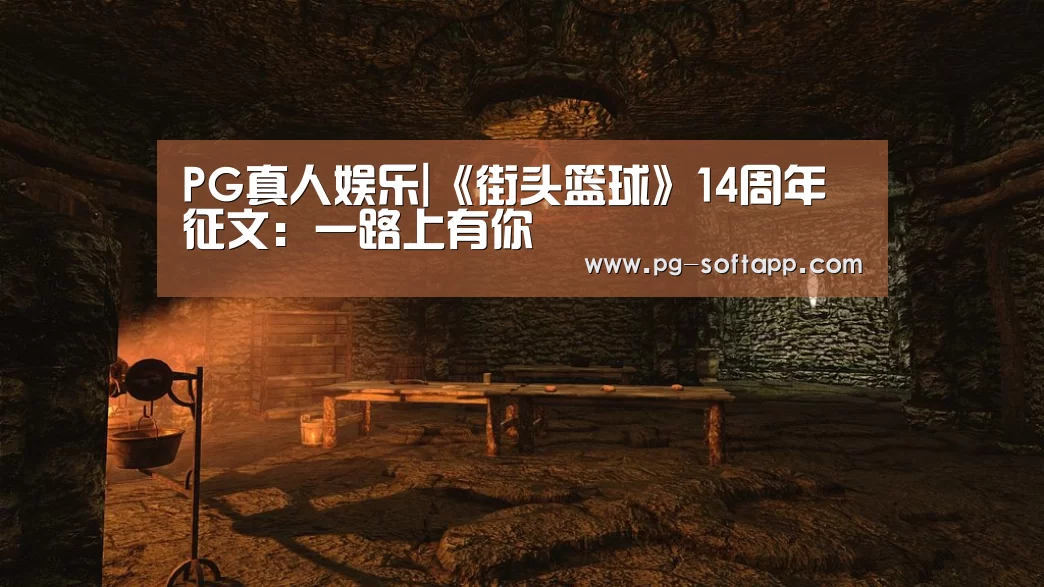PG真人娱乐|《街头篮球》14周年征文:一路上有你(图3) PG麻将平台