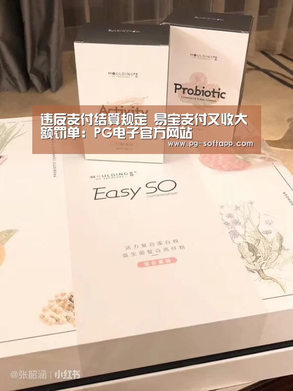违反支付结算规定 易宝支付又收大额罚单:PG电子官方网站(图2) PG真人娱乐