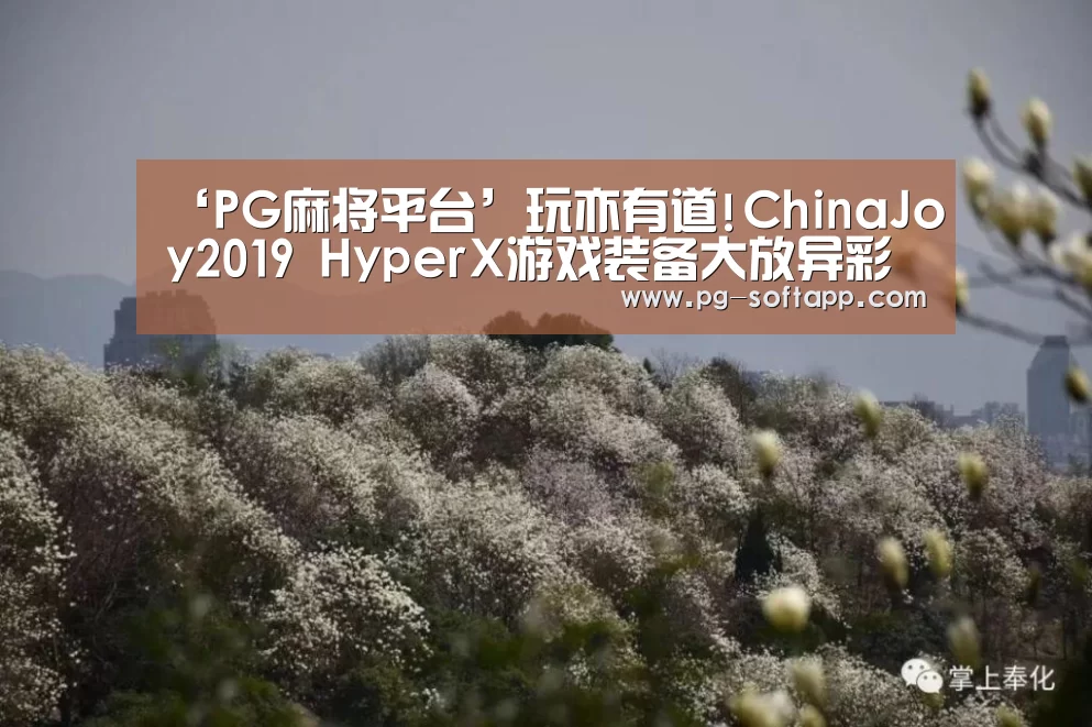 ‘PG麻将平台’玩亦有道!ChinaJoy2019 HyperX游戏装备大放异彩(图2) PG麻将平台
