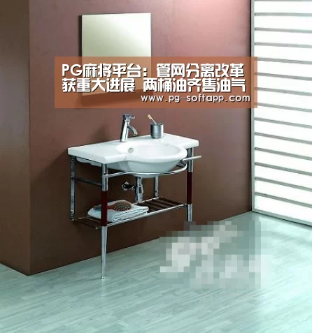 PG麻将平台:管网分离改革获重大进展 两桶油齐售油气管道资产(图3) PG麻将平台