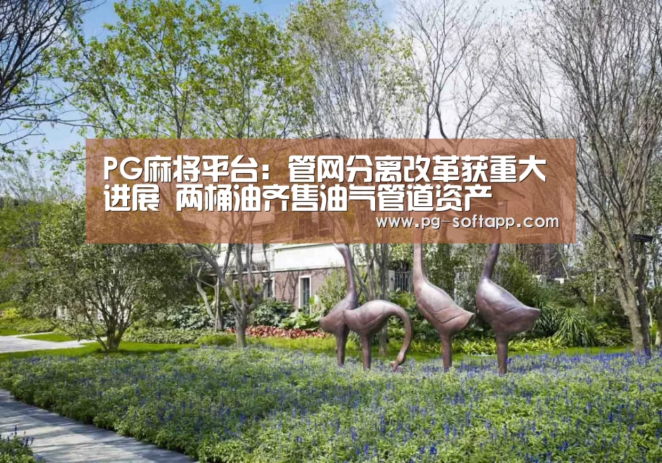 PG麻将平台:管网分离改革获重大进展 两桶油齐售油气管道资产(图2) PG麻将官网